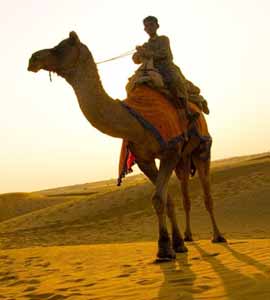 Jaisalmer Tour Planners