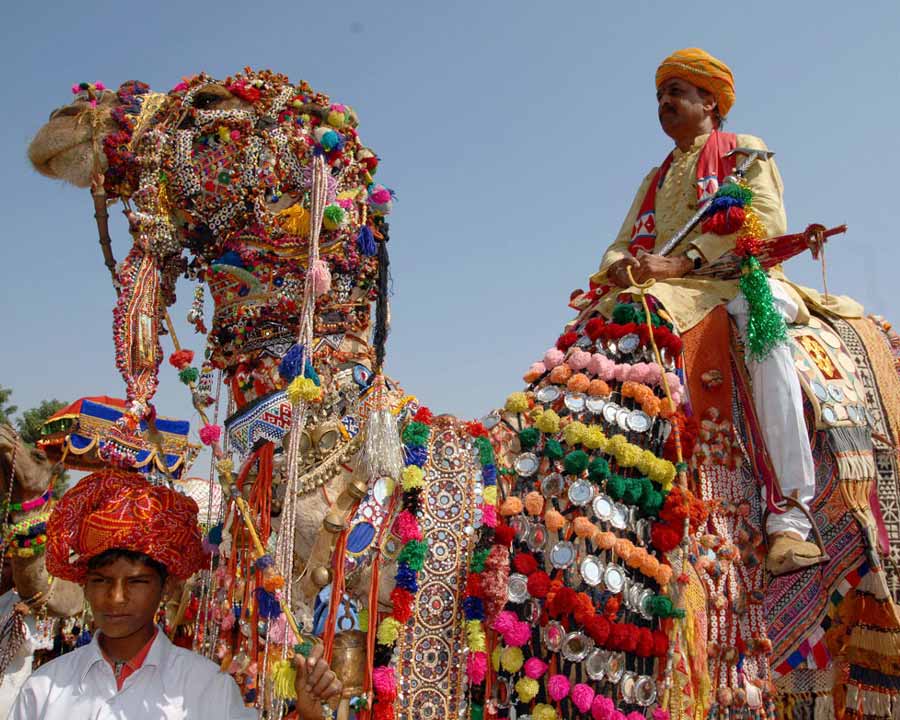 Camel Festivals Bikaner