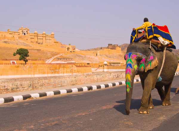 Circuit en Rajasthan pas cher