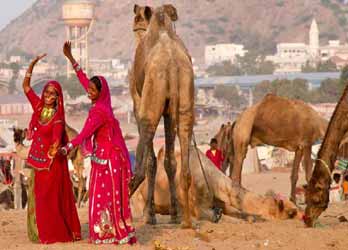 Pushkar Tour Package