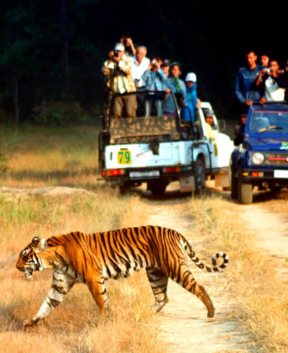 Que faire en Rajasthan