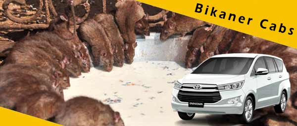 Bikaner Car Rental