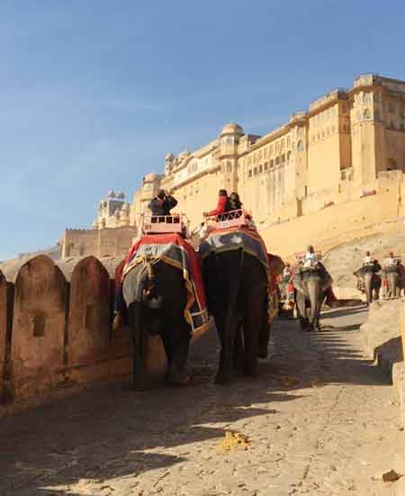 Cosas Que Hacer Rajasthan