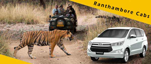 Ranthambore Car Rental